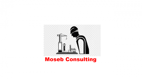 Moseb Construction Consulting